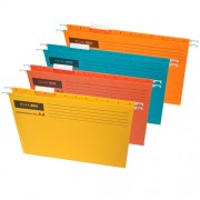Файли підвісні картонні А4 Economix Е 30202, асортимент кольорів
