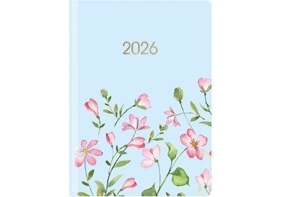 Купити Щоденник А5 датований 2026 друкована обкладинка Economix ніжність блакитна Е21839 &mdash; фото в магазині ТД А-плюс